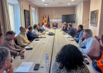 Guarinos elogia al Ayuntamiento y los vecinos en la crisis del apagón