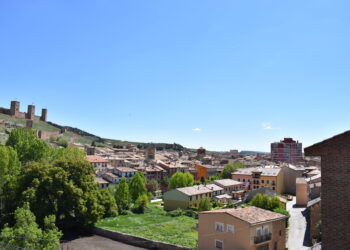 La Diputación aporta 50.000€ para la conservación y mejora del Palacio de los Garcés de Marcilla