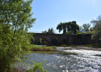 Comienza la limpieza del río Henares