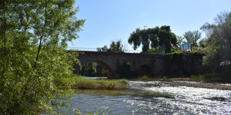 Comienza la limpieza del río Henares