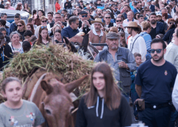 La entrega de las espigas en Azuqueca cambia por la previsión de lluvia
