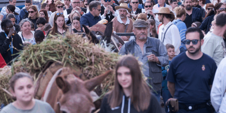 La entrega de las espigas en Azuqueca cambia por la previsión de lluvia