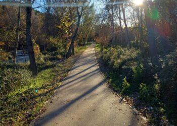 Guadalajara duplica los medios para el desbroce de zonas verdes
