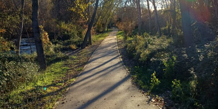 Guadalajara duplica los medios para el desbroce de zonas verdes