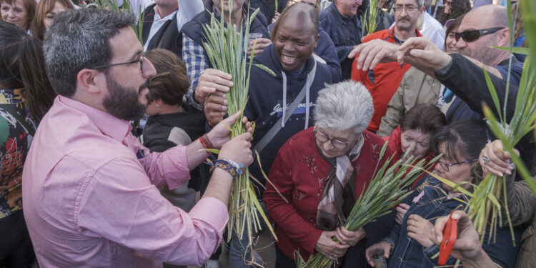 Azuqueca disfrutó de la Fiesta de la Espiga en las calles y La Caja