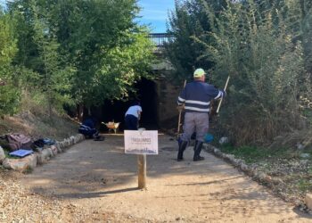 Abierto el plazo de solicitudes para el Plan de Empleo en Guadalajara