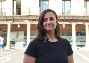 El PSOE considera que Guarinos establece barrios de primera y de segunda