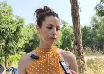 PSOE Guadalajara denuncia los problemas de plagas de la ciudad