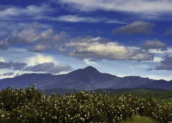 ADEL impulsa las renovables en la Sierra Norte