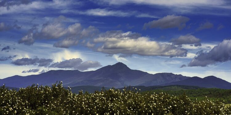 ADEL impulsa las renovables en la Sierra Norte