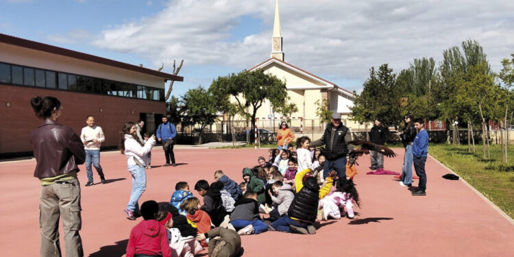 Cetrería en Azuqueca