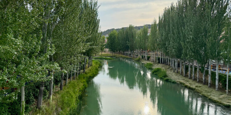 Suspenden las Vacas por el Tajo de Trillo