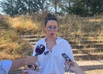 Para el PSOE, Guadalajara es la ‘Ciudad del Cardo’