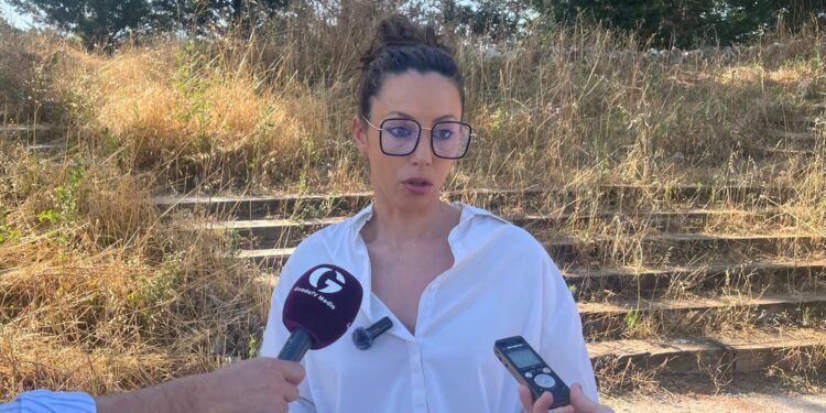 Para el PSOE, Guadalajara es la ‘Ciudad del Cardo’