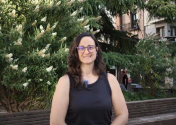 El PSOE pide a Guarinos que no hable del Alcázar