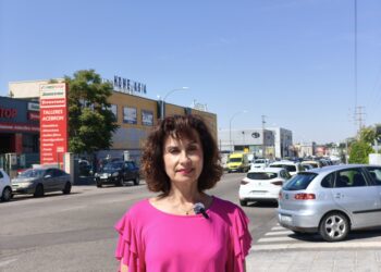 El PSOE pregunta a Guarinos sobre cómo va a reducir la peligrosidad de la calle Méjico