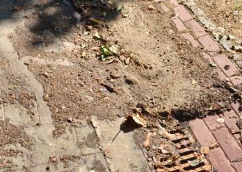 Los vecinos de La Chopera piden más limpieza para evitar inundaciones