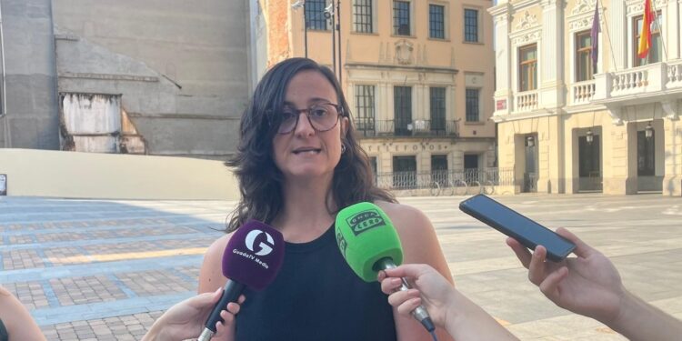 Los socialistas muy críticos con el Plan de Empleo de Guadalajara