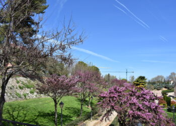 Guadalajara impulsa el deporte, la salud y la cultura