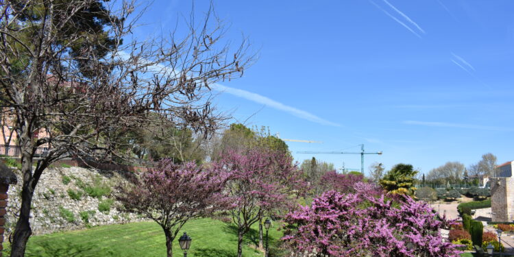Guadalajara impulsa el deporte, la salud y la cultura