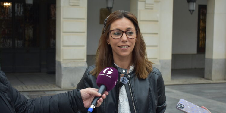 PSOE Guadalajara preguntará a Guarinos si se adhiere al Plan Corresponsables