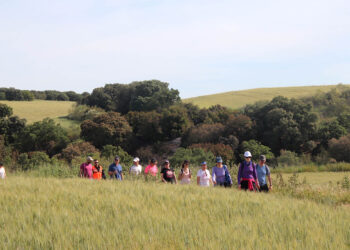 Cabanillas prepara una encuesta para organizar nuevos paseos saludables