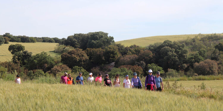 Cabanillas prepara una encuesta para organizar nuevos paseos saludables