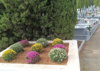 Cabanillas pone a punto su cementerio