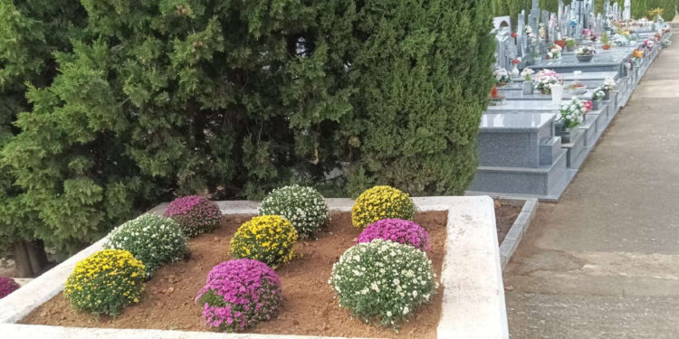 Cabanillas pone a punto su cementerio
