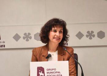 PSOE afirma que Guarinos está desatendiendo los colegios