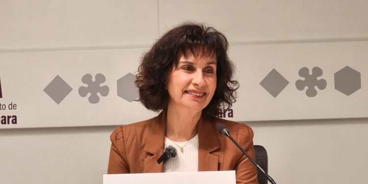 PSOE afirma que Guarinos está desatendiendo los colegios