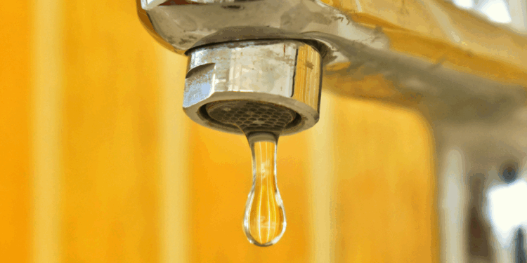 Guadalagua anuncia cortes para los próximos días