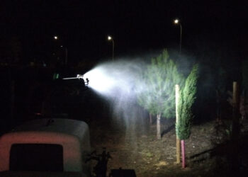 Azuqueca ya lucha contra la procesionaria del pino