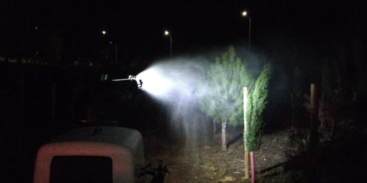 Azuqueca ya lucha contra la procesionaria del pino